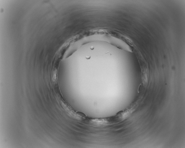 X0000053090477200508012037