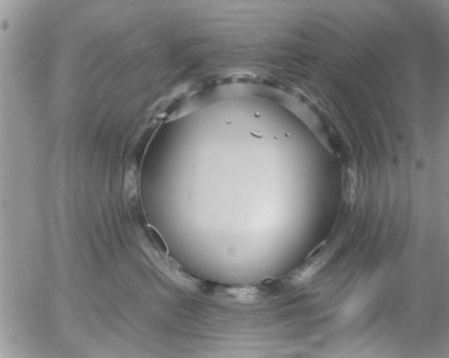 X0000053090478200508012037