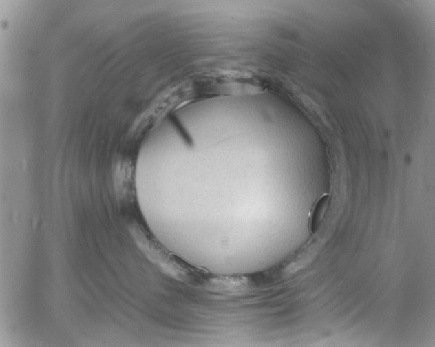 X0000053090480200508012037