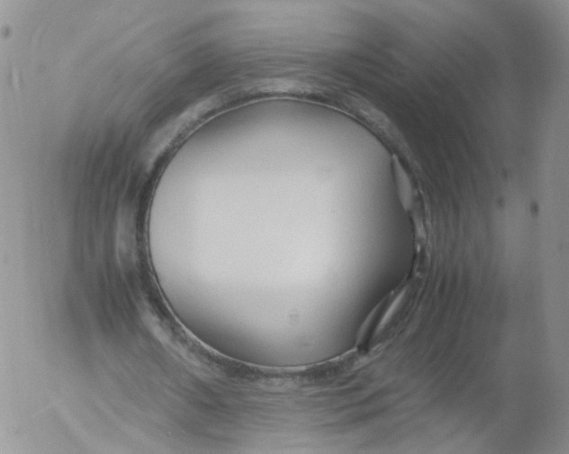 X0000053090482200508012036