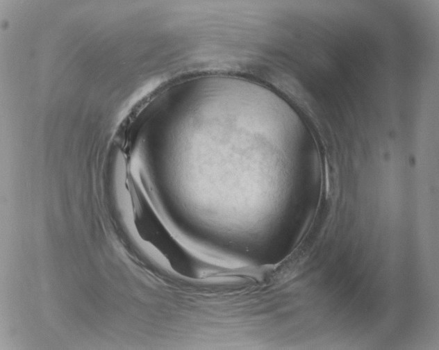 X0000053090483200508012036