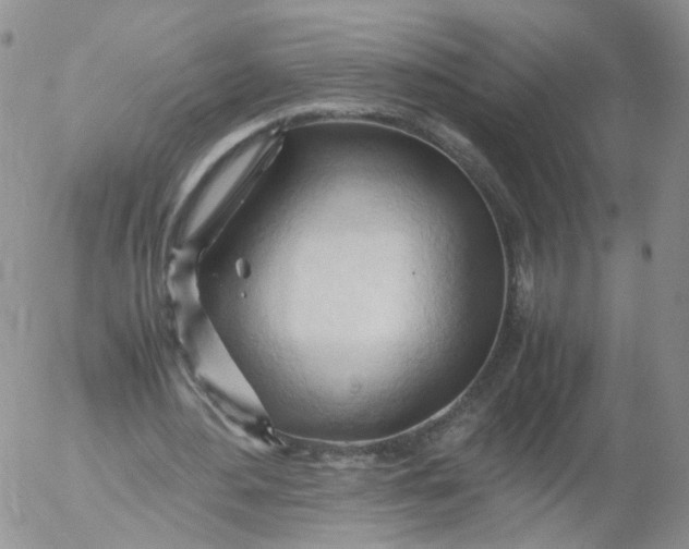 X0000053090484200508012036