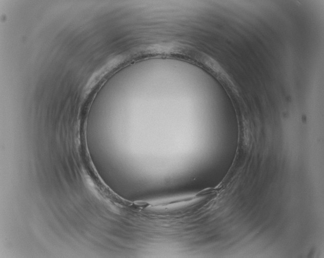 X0000053090486200508012036