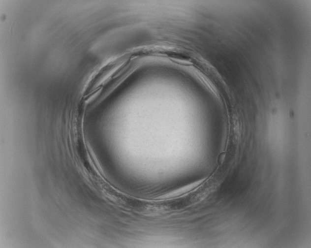 X0000053090487200508012036