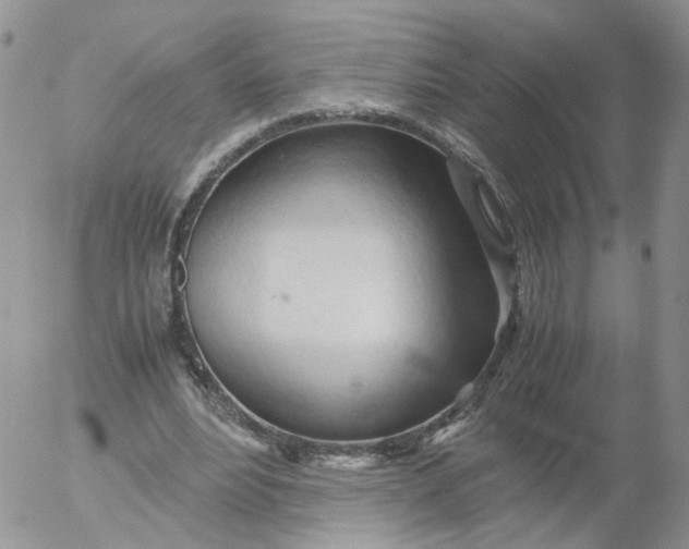 X0000053090488200508012036