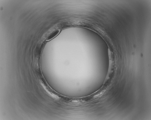 X0000053090489200508012036