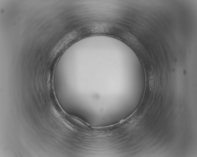 X0000053090490200508012036