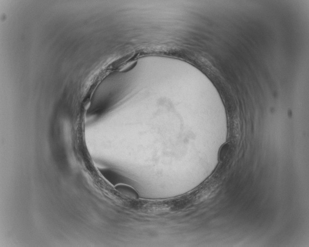 X0000053090491200508012036