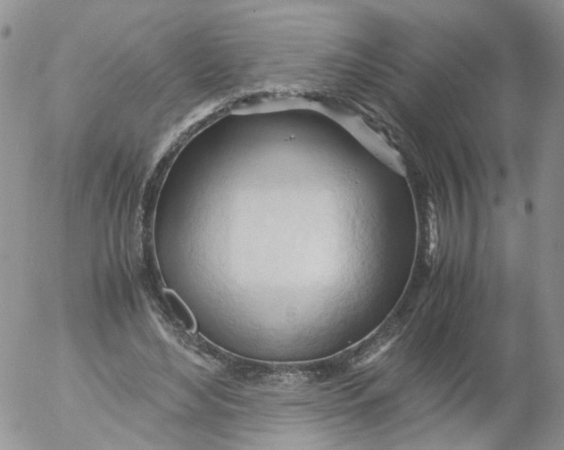 X0000053090492200508012036