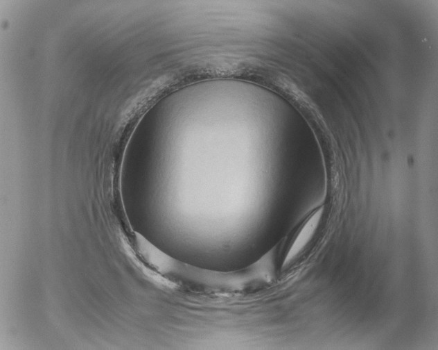 X0000053090493200508012036