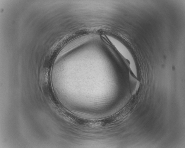 X0000053090495200508012036