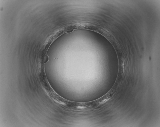 X0000053090496200508012036