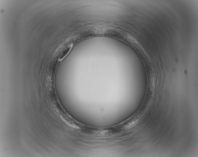 X0000053090497200508012036