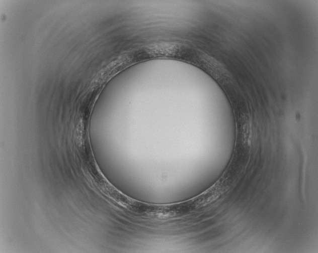 X0000053090498200508012036