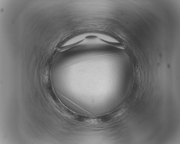 X0000053090499200508012036