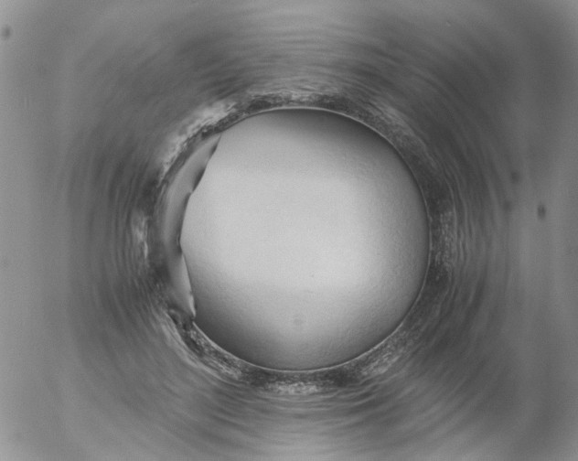 X0000053090500200508012036