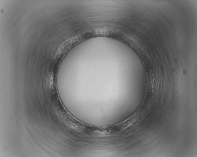 X0000053090502200508012036