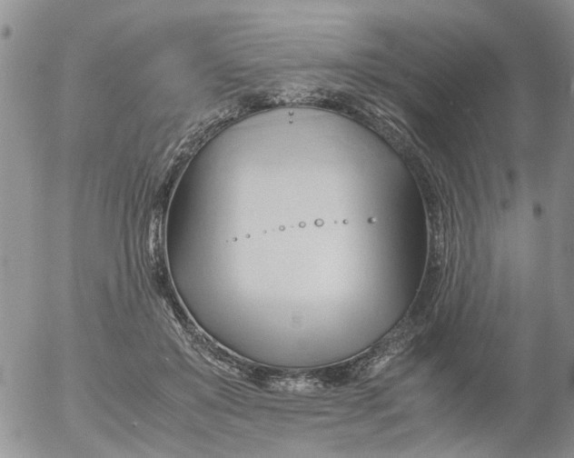 X0000053090503200508012036