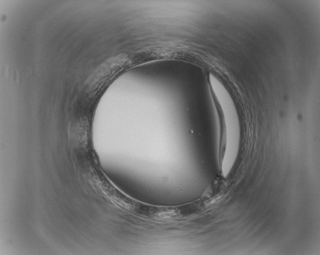 X0000053090505200508012036