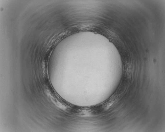 X0000053090506200508012036