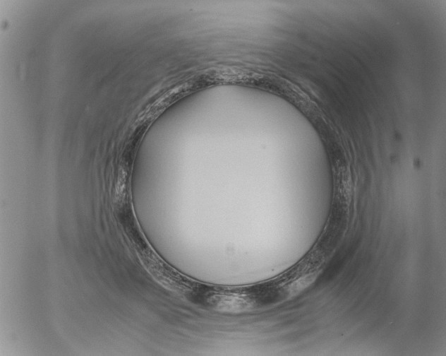 X0000053090507200508012036