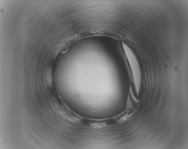 X0000053090508200508012036