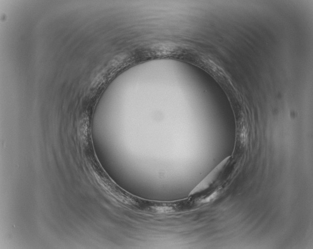 X0000053090509200508012036