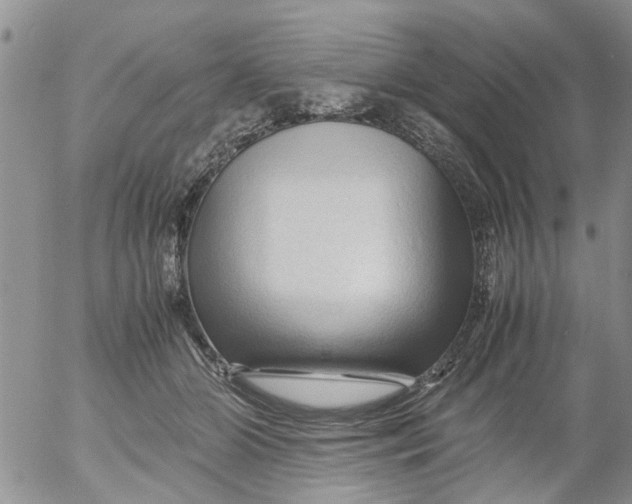 X0000053090510200508012036