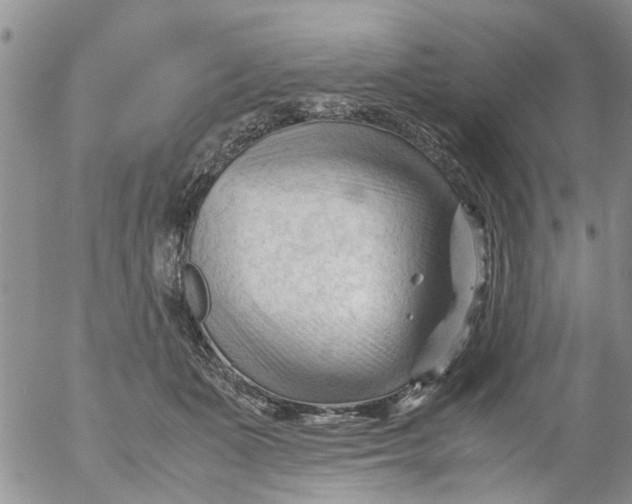 X0000053090511200508012036