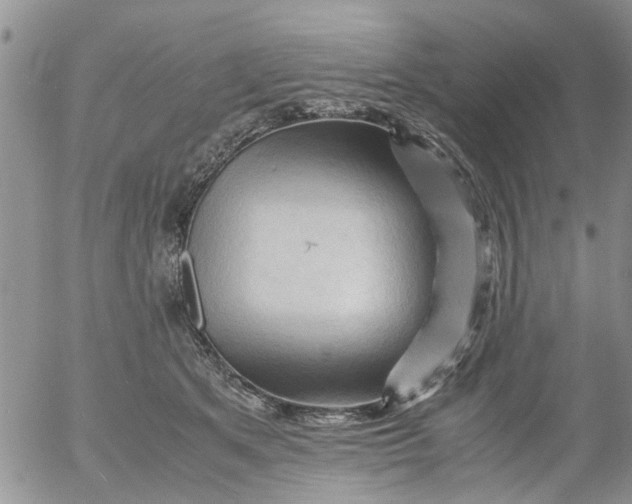 X0000053090513200508012036