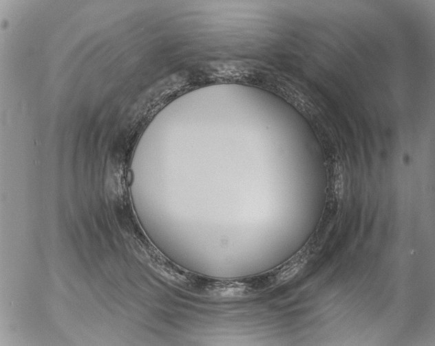 X0000053090514200508012036