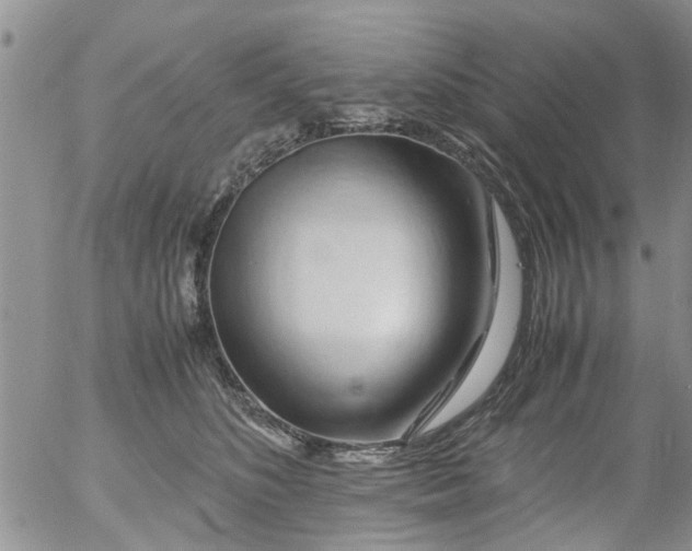 X0000053090516200508012036