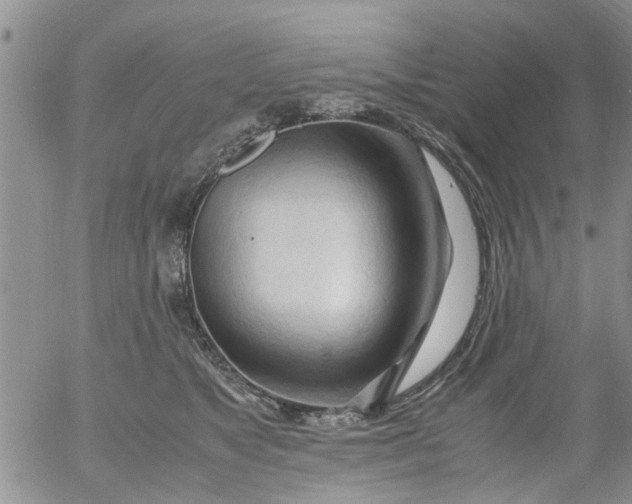 X0000053090517200508012036