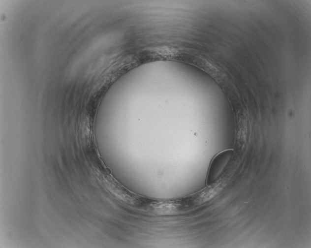 X0000053090518200508012036