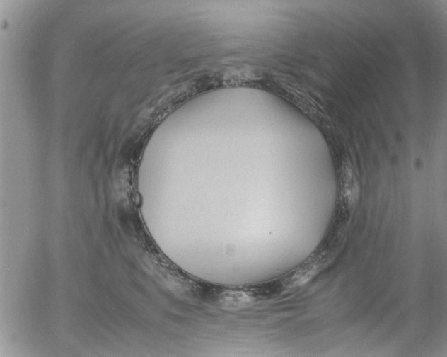 X0000053090519200508012036