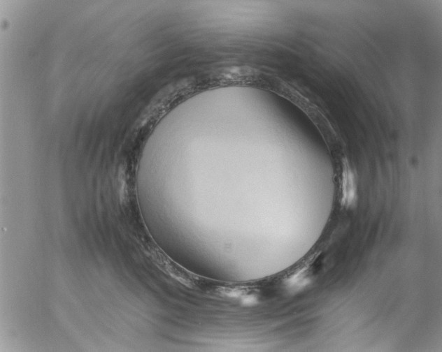 X0000053090520200508012036