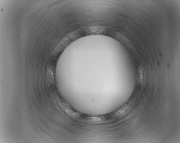 X0000053090522200508012036