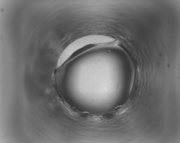 X0000053090523200508012036