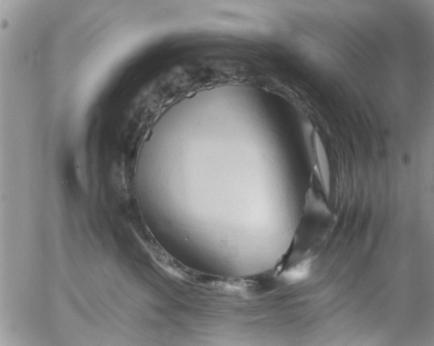 X0000053090524200508012036