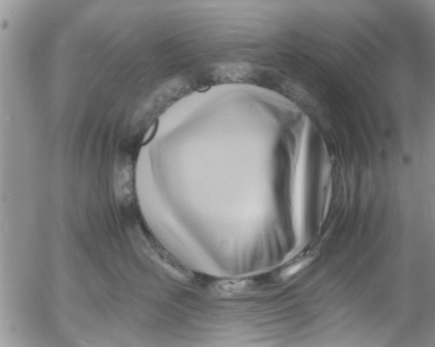 X0000053090526200508012036