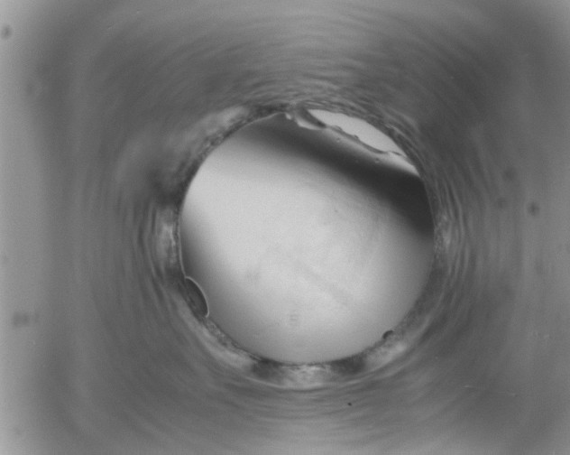 X0000053090527200508012036