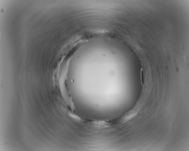 X0000053090528200508012036