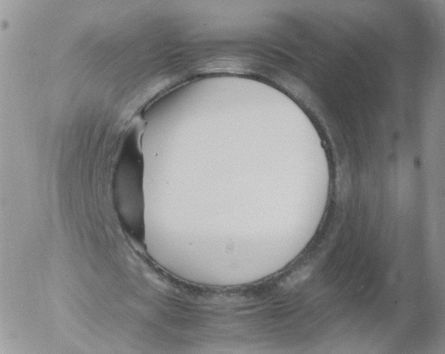 X0000053090529200508012035