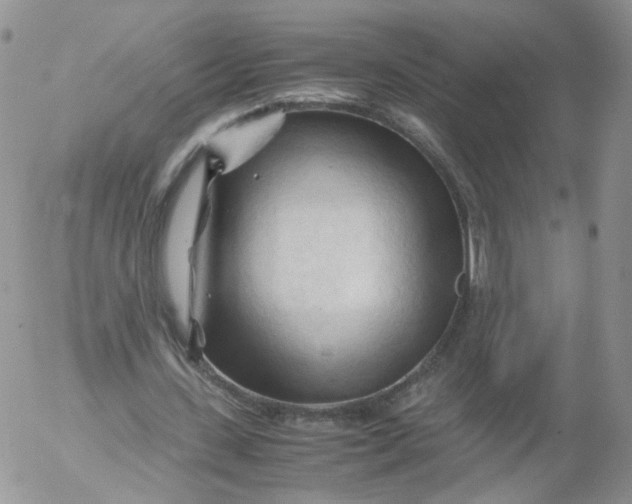 X0000053090531200508012035