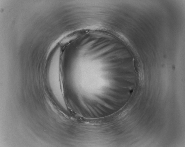 X0000053090532200508012035