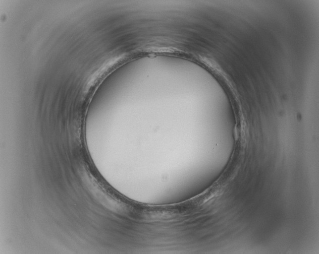 X0000053090533200508012035