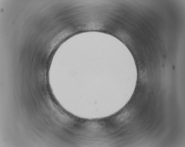 X0000053090534200508012035