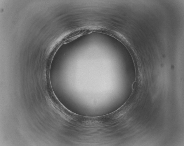 X0000053090535200508012035