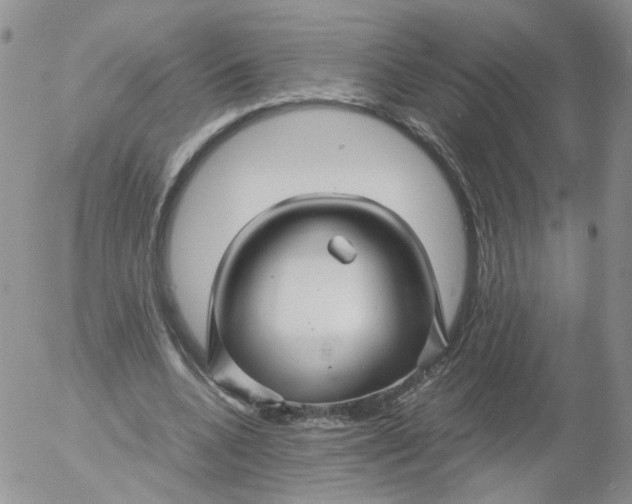 X0000053090536200508012035