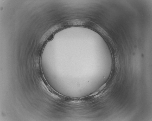 X0000053090537200508012035